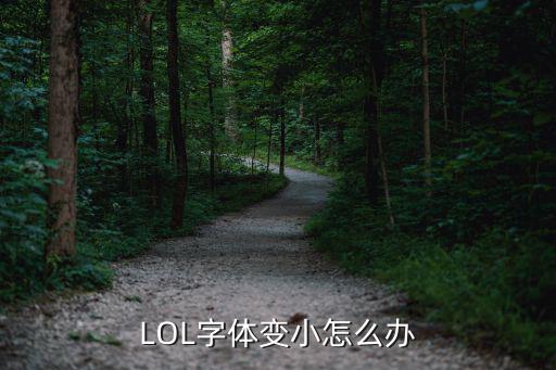 LOL字体变小怎么办