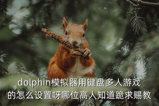 dolphin模拟器用键盘多人游戏的怎么设置呀哪位高人知道跪求赐教