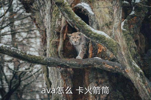 ava怎么 卡火箭筒