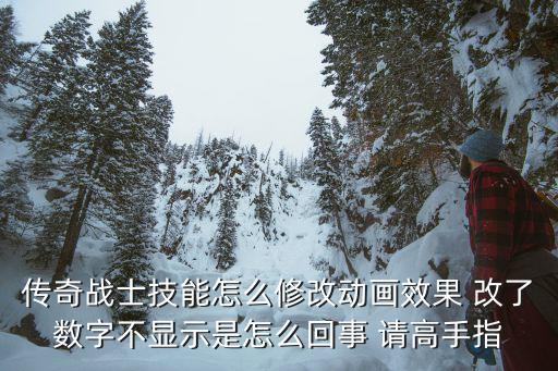 传奇战士技能怎么修改动画效果 改了数字不显示是怎么回事 请高手指