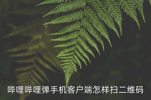 哔哩哔哩弹手机客户端怎样扫二维码