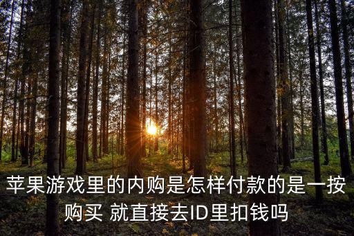 苹果游戏里的内购是怎样付款的是一按购买 就直接去ID里扣钱吗