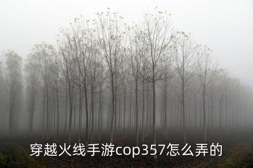 穿越火线手游cop357怎么弄的