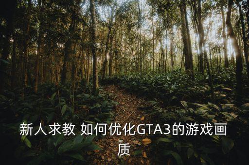 新人求教 如何优化GTA3的游戏画质