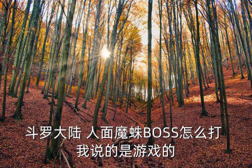 斗罗大陆 人面魔蛛BOSS怎么打 我说的是游戏的