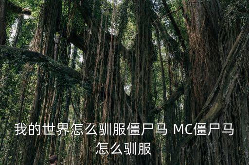 我的世界怎么驯服僵尸马 MC僵尸马怎么驯服