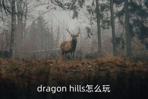 dragon hills怎么玩