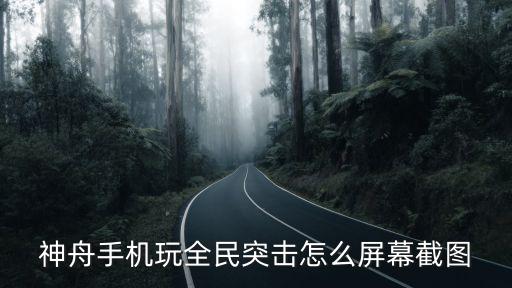 神舟手机玩全民突击怎么屏幕截图