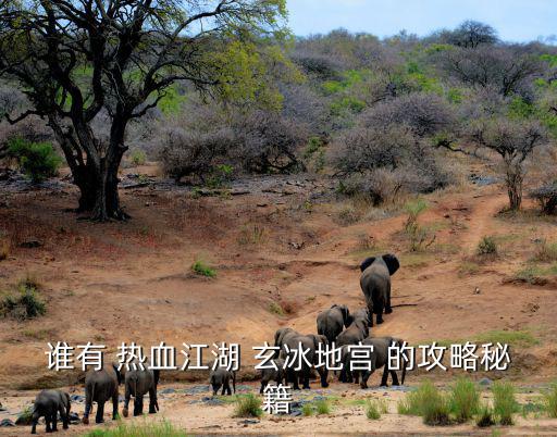 谁有 热血江湖 玄冰地宫 的攻略秘籍