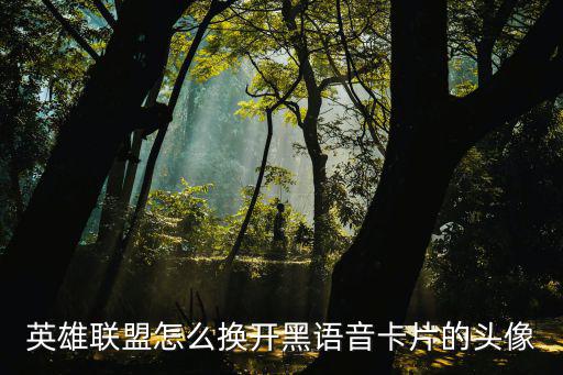 英雄联盟怎么换开黑语音卡片的头像