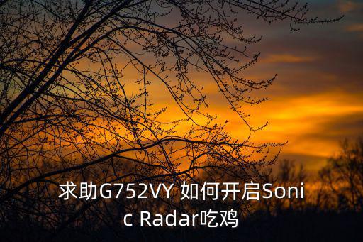 求助G752VY 如何开启Sonic Radar吃鸡