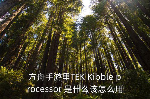 方舟手游里TEK Kibble processor 是什么该怎么用