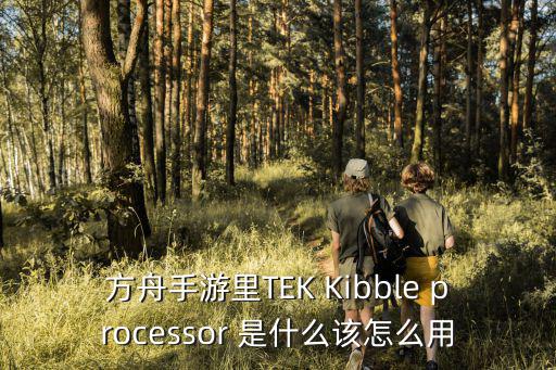 方舟手游里TEK Kibble processor 是什么该怎么用