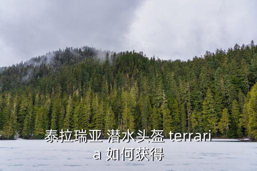 泰拉瑞亚 潜水头盔 terraria 如何获得