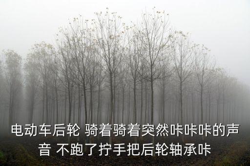 电动车后轮 骑着骑着突然咔咔咔的声音 不跑了拧手把后轮轴承咔