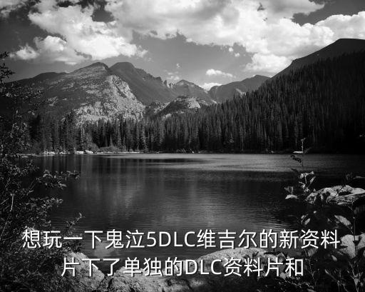 想玩一下鬼泣5DLC维吉尔的新资料片下了单独的DLC资料片和