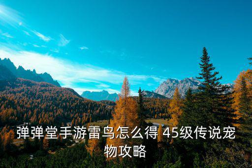 弹弹堂手游雷鸟怎么得 45级传说宠物攻略