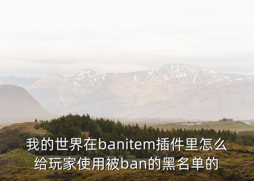 我的世界在banitem插件里怎么给玩家使用被ban的黑名单的