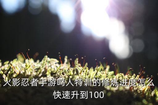 火影忍者手游鸣人特训的修炼进度怎么快速升到100