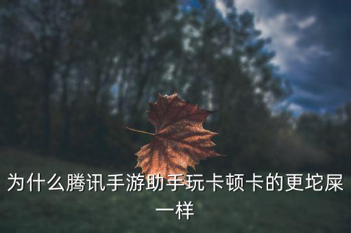 为什么腾讯手游助手玩卡顿卡的更坨屎一样