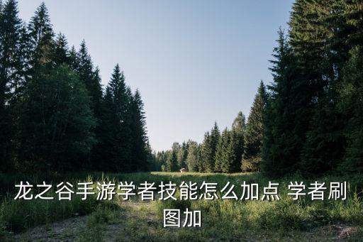 龙之谷手游学者技能怎么加点 学者刷图加