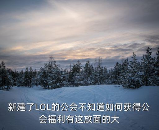 新建了LOL的公会不知道如何获得公会福利有这放面的大