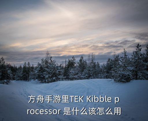 方舟手游里TEK Kibble processor 是什么该怎么用