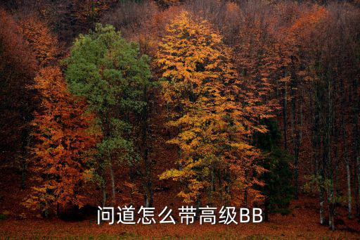 问道怎么带高级BB