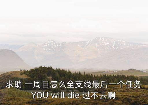 求助 一周目怎么全支线最后一个任务YOU will die 过不去啊