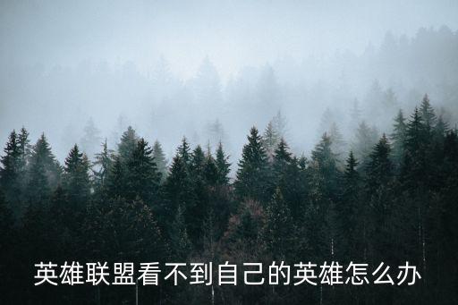 lol手游不认识英雄怎么办，lol有皮肤不知道英雄怎么办