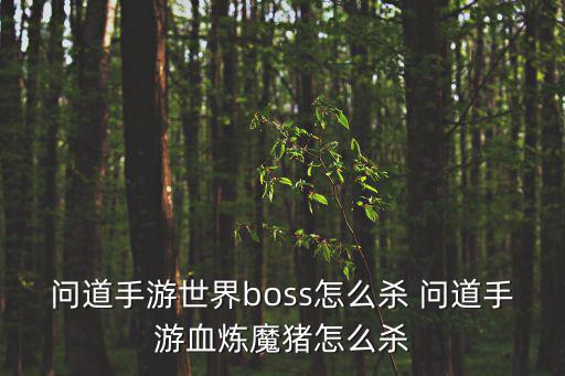 问道手游世界boss怎么杀 问道手游血炼魔猪怎么杀