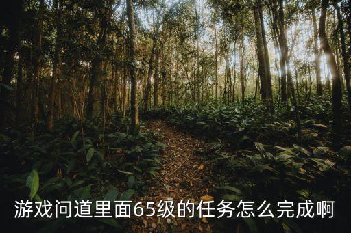 游戏问道里面65级的任务怎么完成啊