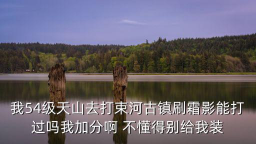 我54级天山去打束河古镇刷霜影能打过吗我加分啊 不懂得别给我装