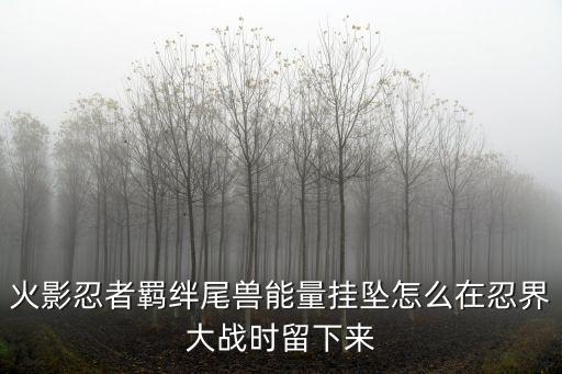 火影忍者羁绊尾兽能量挂坠怎么在忍界大战时留下来