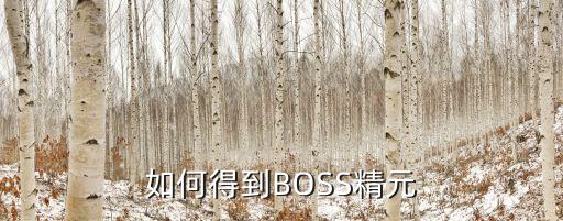 如何得到BOSS精元