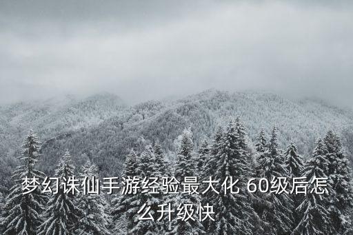 梦幻诛仙手游经验最大化 60级后怎么升级快