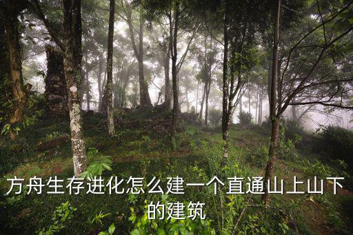 方舟生存进化怎么建一个直通山上山下的建筑