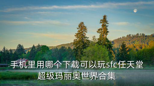 手机里用哪个下载可以玩sfc任天堂超级玛丽奥世界合集