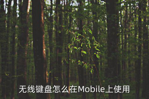 无线键盘怎么在Mobile上使用