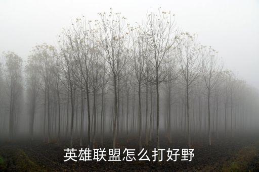 英雄联盟怎么打好野