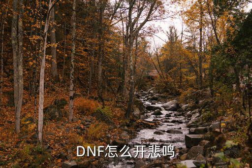 DNF怎么开悲鸣