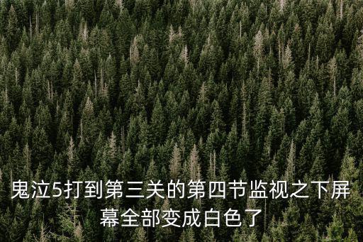 鬼泣5打到第三关的第四节监视之下屏幕全部变成白色了