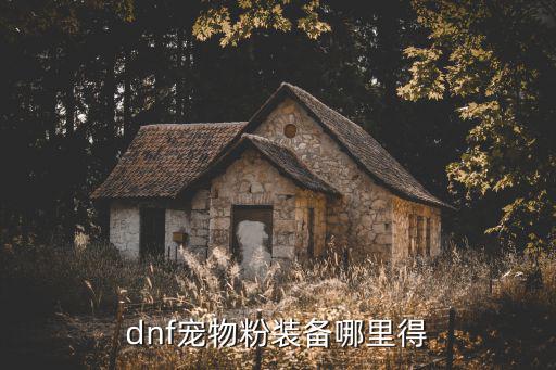 dnf手游粉色宠物装备怎么获得，dnf粉色宠物装备怎么获得