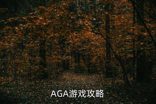 AGA游戏攻略