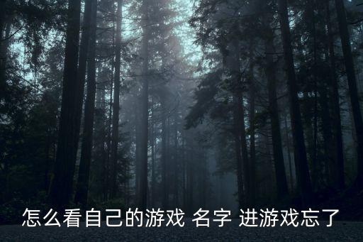 英雄联盟手游怎么查询名字，怎么知道自己在游戏中名字