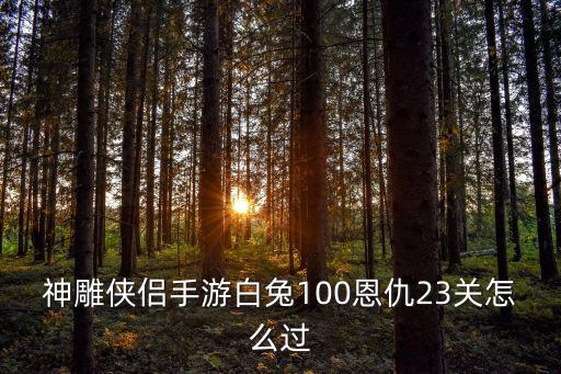 神雕侠侣手游白兔100恩仇23关怎么过