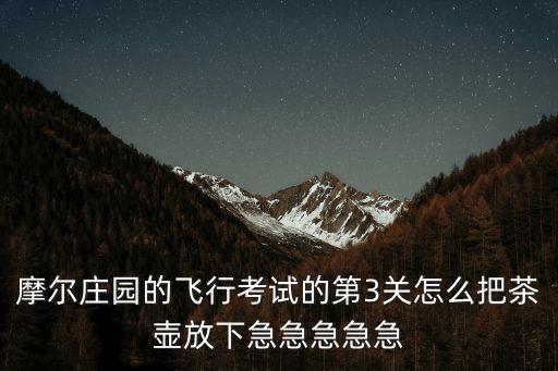 摩尔庄园的飞行考试的第3关怎么把茶壶放下急急急急急