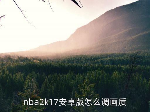 nba2k17安卓版怎么调画质