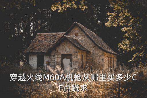 穿越火线M60A机枪从哪里买多少CF点跪求