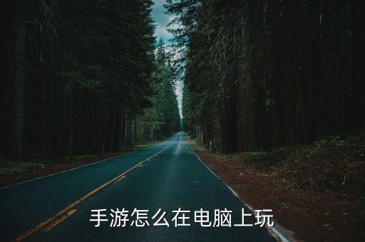 手游怎么在电脑上玩